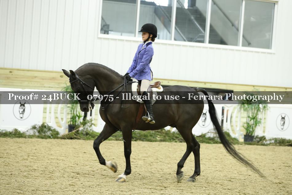 Proof 24BUCK_07975