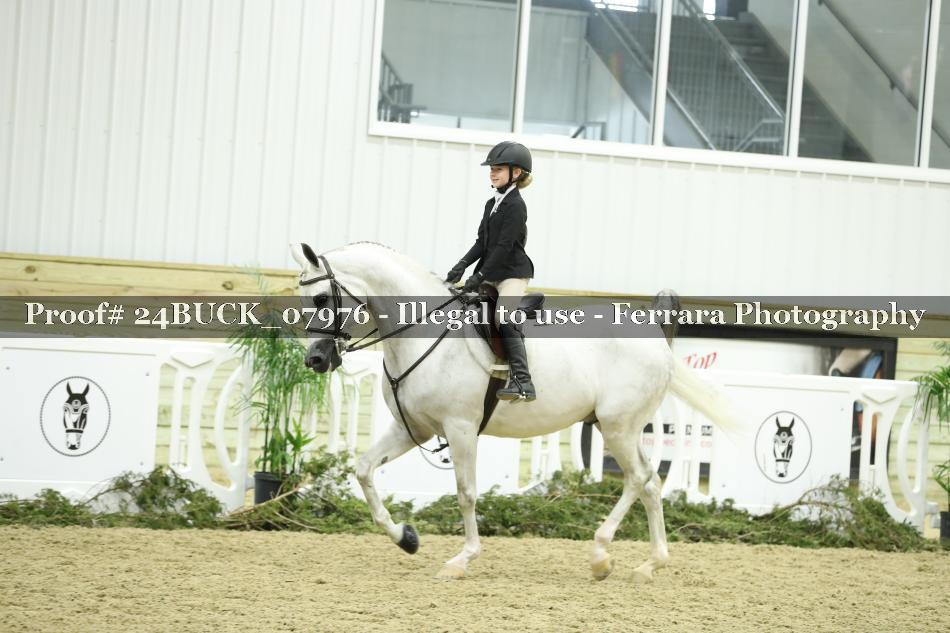 Proof 24BUCK_07976