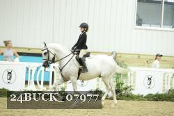 24BUCK_07977 proof