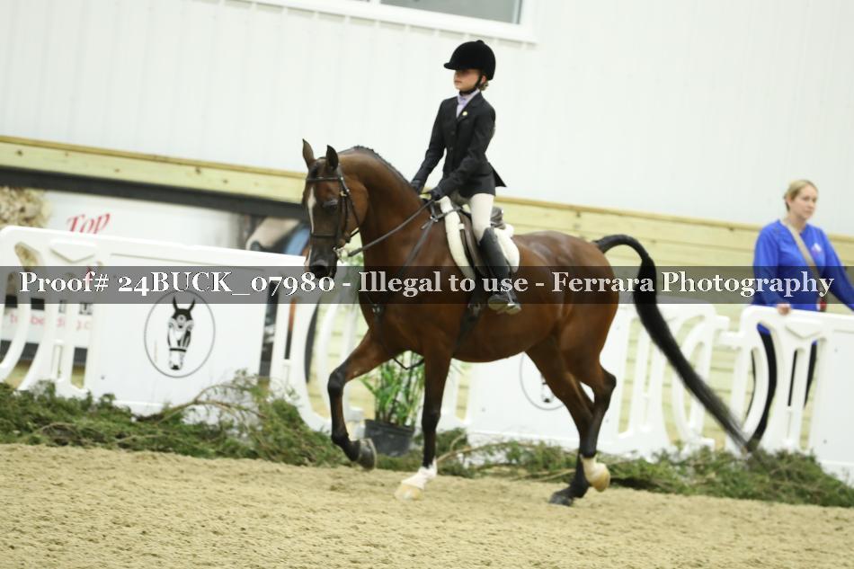Proof 24BUCK_07980