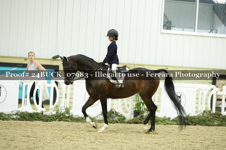 Proof 24BUCK_07983