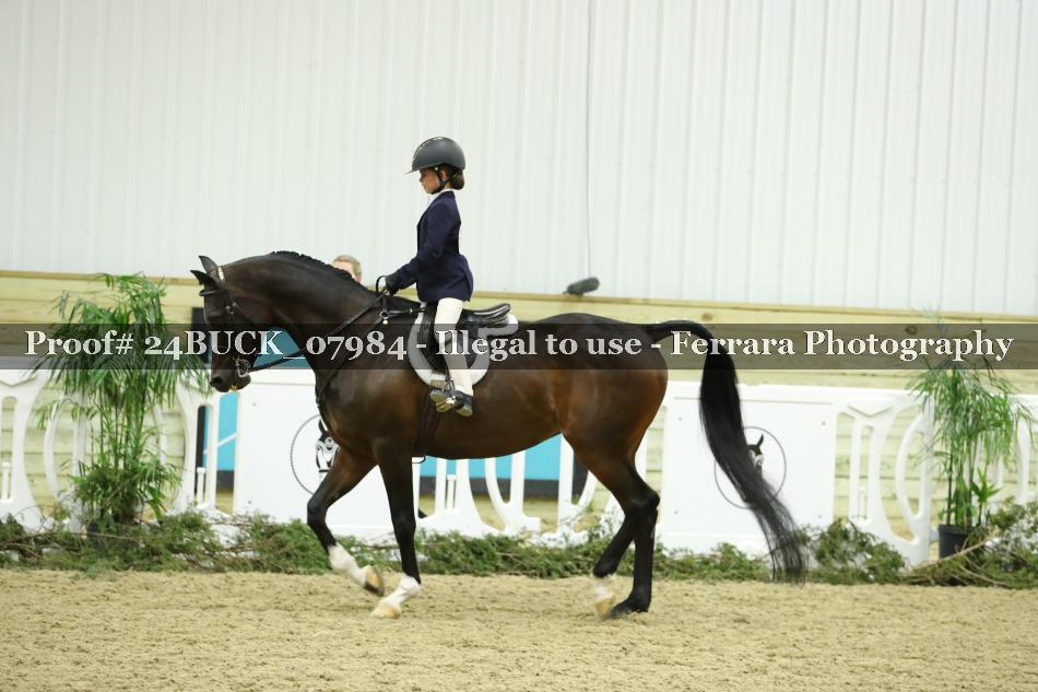 Proof 24BUCK_07984