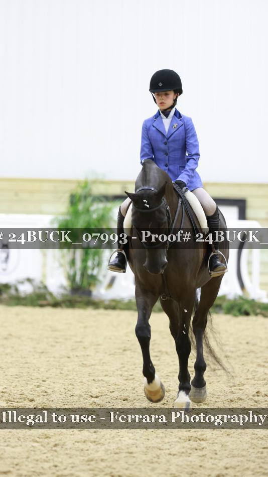 Proof 24BUCK_07993
