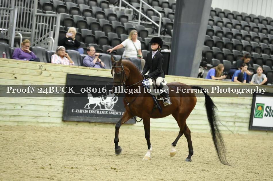 Proof 24BUCK_08016