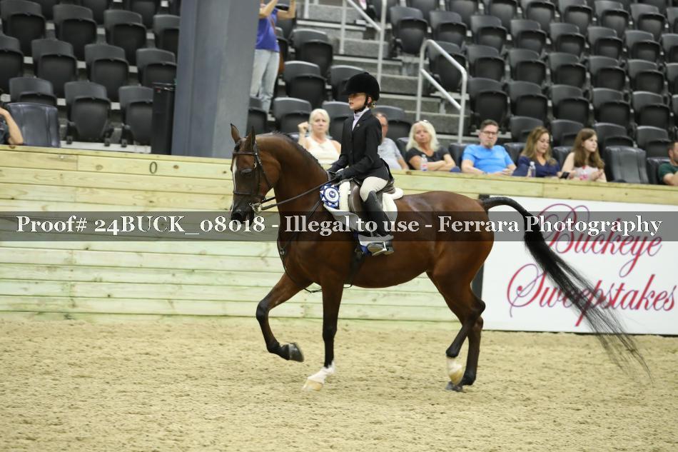 Proof 24BUCK_08018