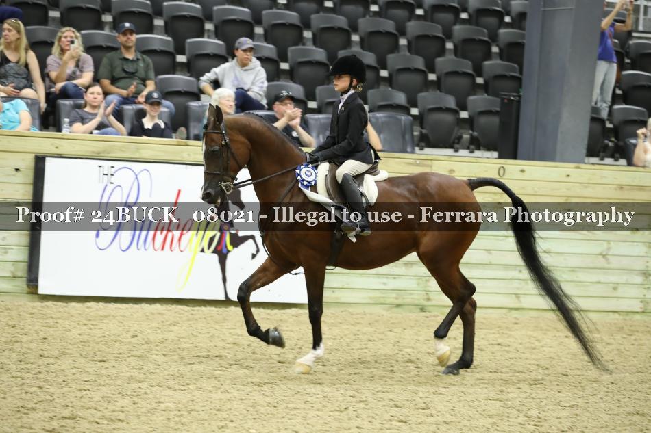 Proof 24BUCK_08021
