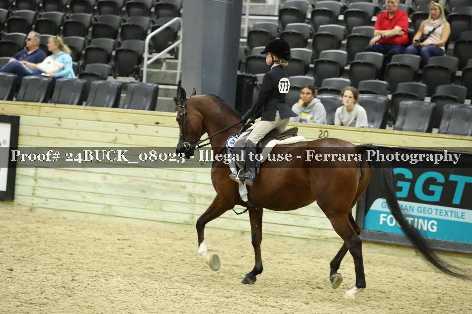 Proof 24BUCK_08023