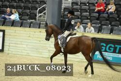 24BUCK_08023 proof