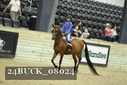 24BUCK_08024 proof
