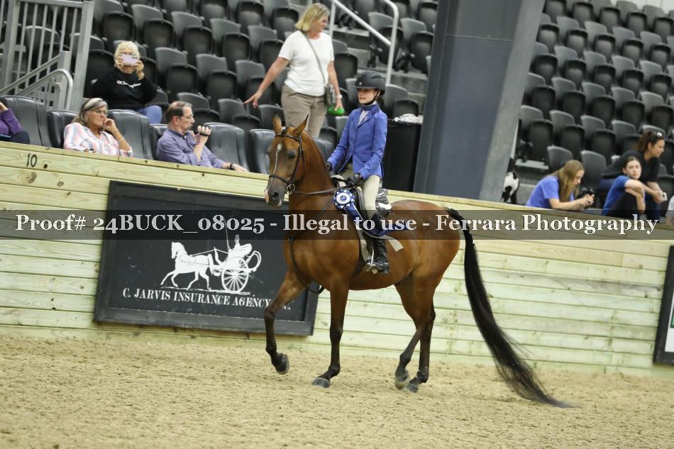 Proof 24BUCK_08025