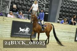 24BUCK_08025 proof