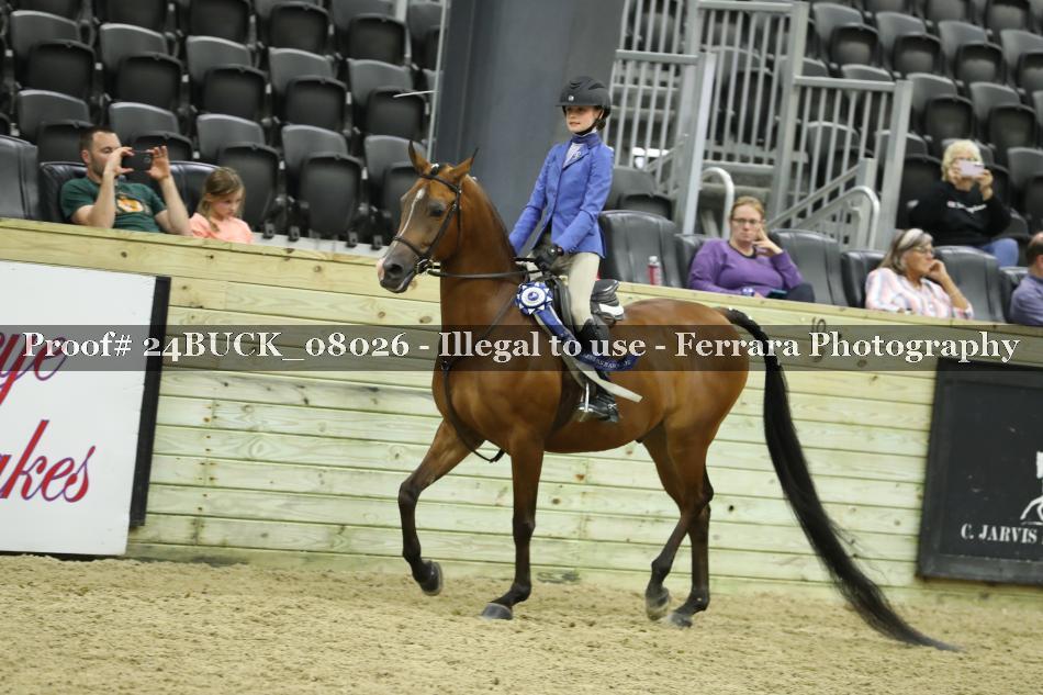 Proof 24BUCK_08026