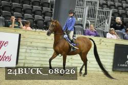 24BUCK_08026 proof