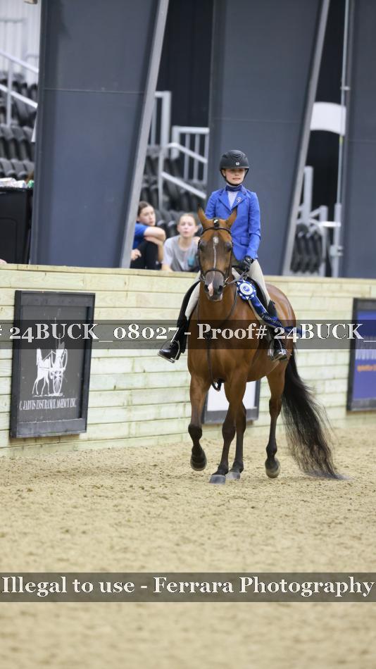 Proof 24BUCK_08027