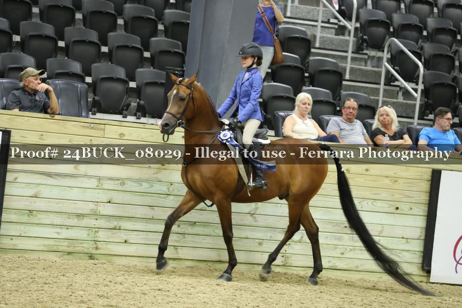 Proof 24BUCK_08029