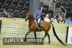 24BUCK_08029 proof