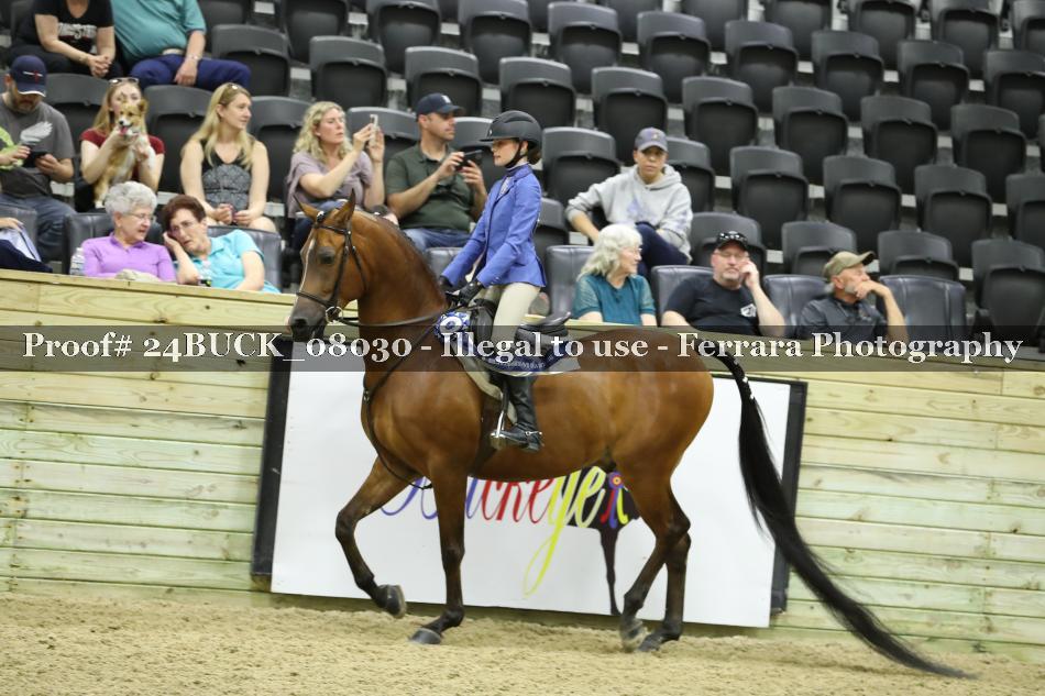 Proof 24BUCK_08030