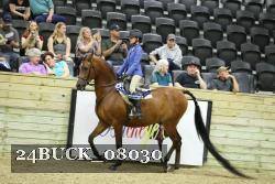 24BUCK_08030 proof