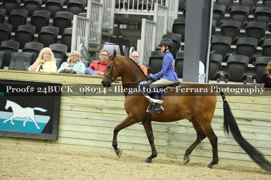 Proof 24BUCK_08034