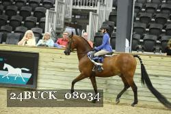 24BUCK_08034 proof