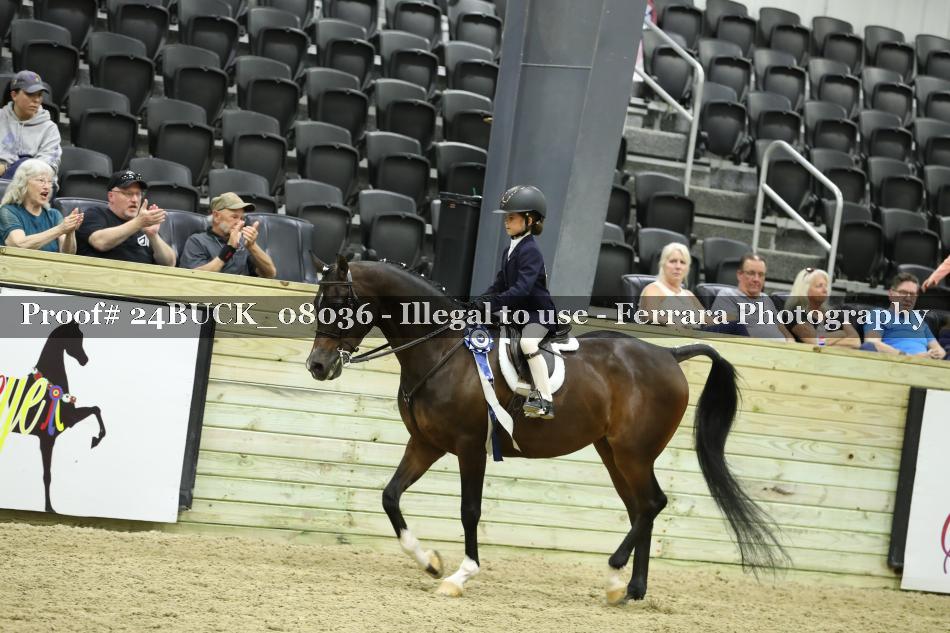 Proof 24BUCK_08036