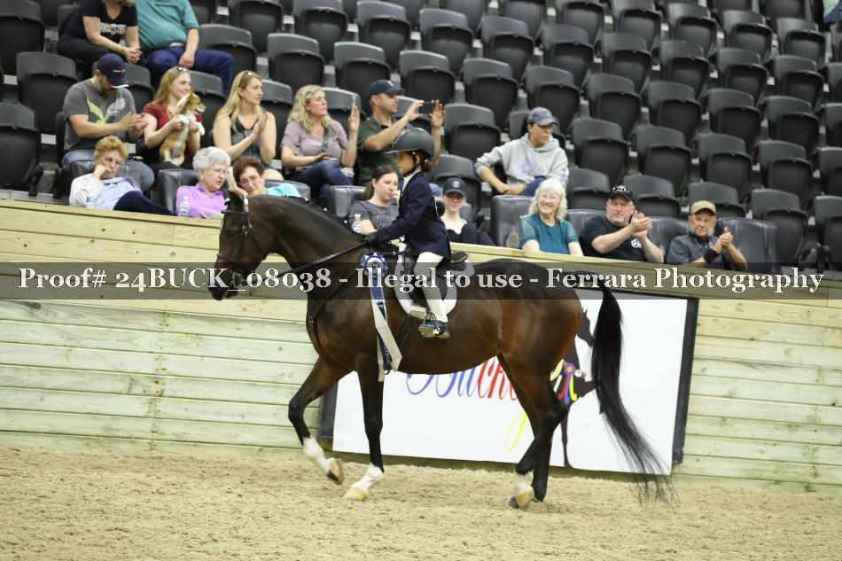 Proof 24BUCK_08038