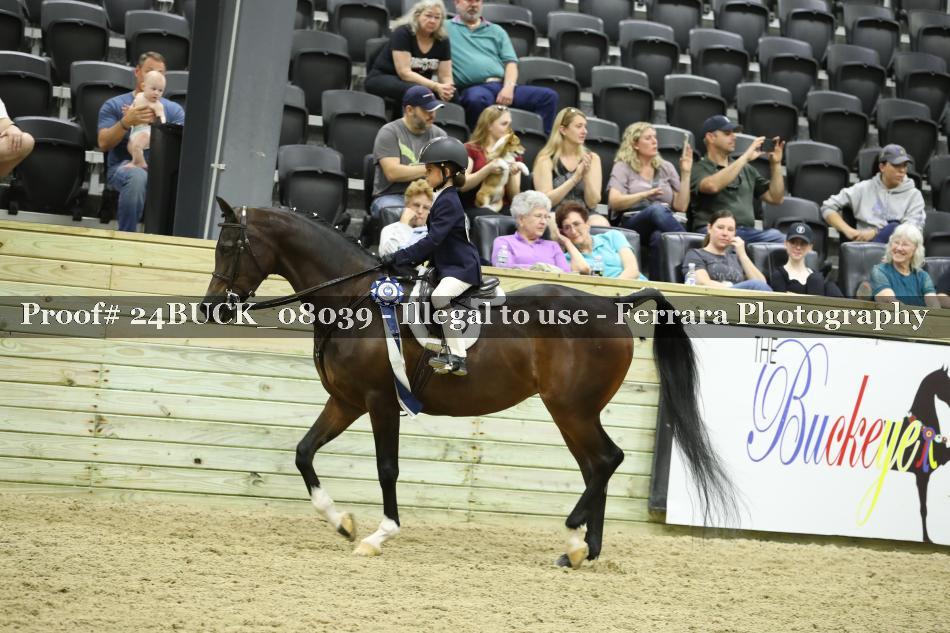 Proof 24BUCK_08039