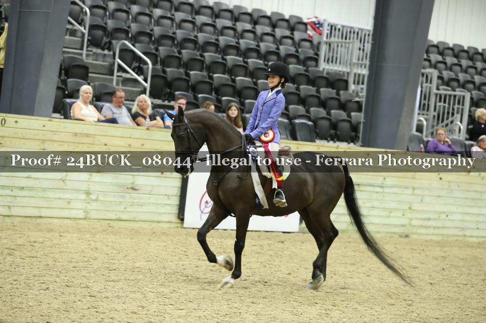 Proof 24BUCK_08044