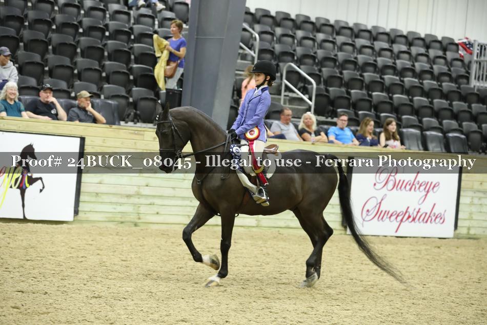Proof 24BUCK_08045