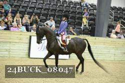 24BUCK_08047 proof