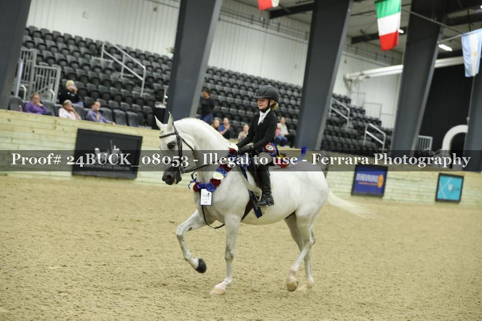 Proof 24BUCK_08053