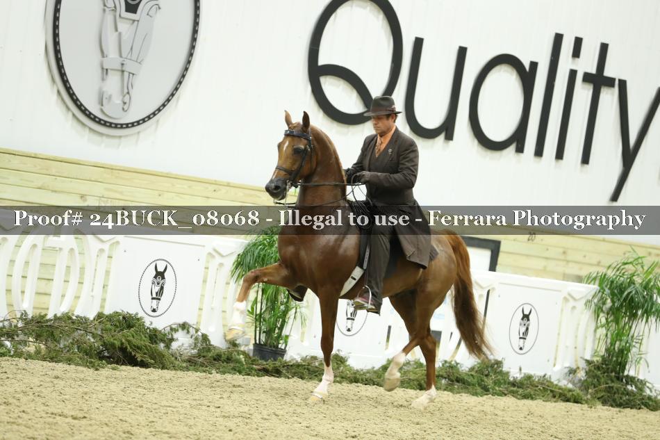 Proof 24BUCK_08068