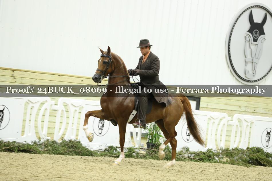 Proof 24BUCK_08069