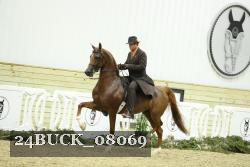 24BUCK_08069 proof