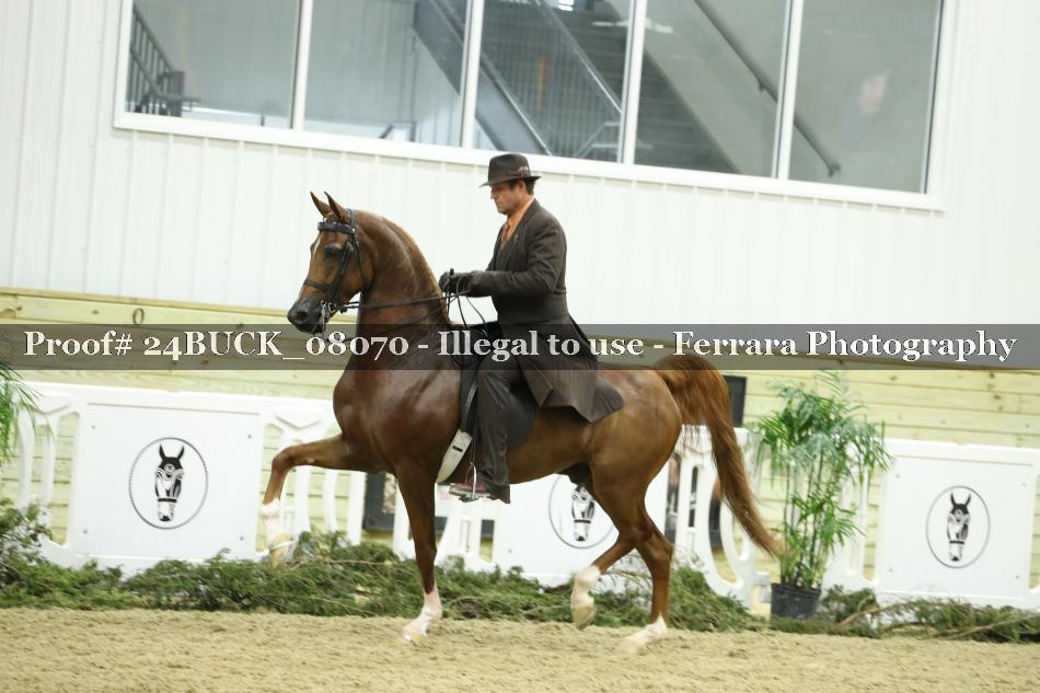Proof 24BUCK_08070