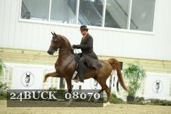 24BUCK_08070 proof