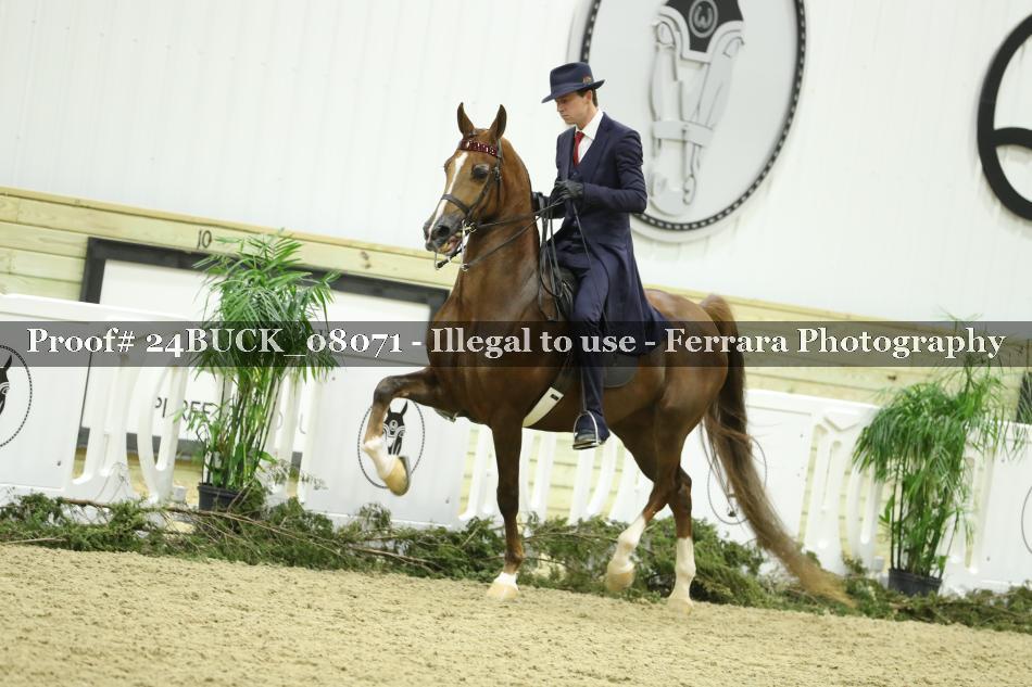 Proof 24BUCK_08071