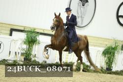 24BUCK_08071 proof