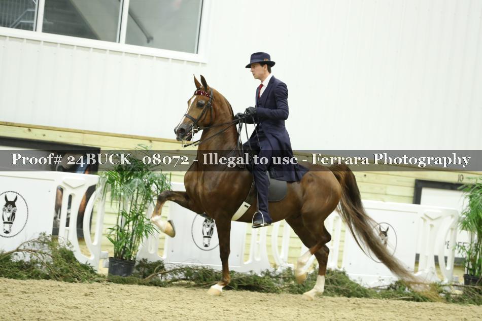 Proof 24BUCK_08072