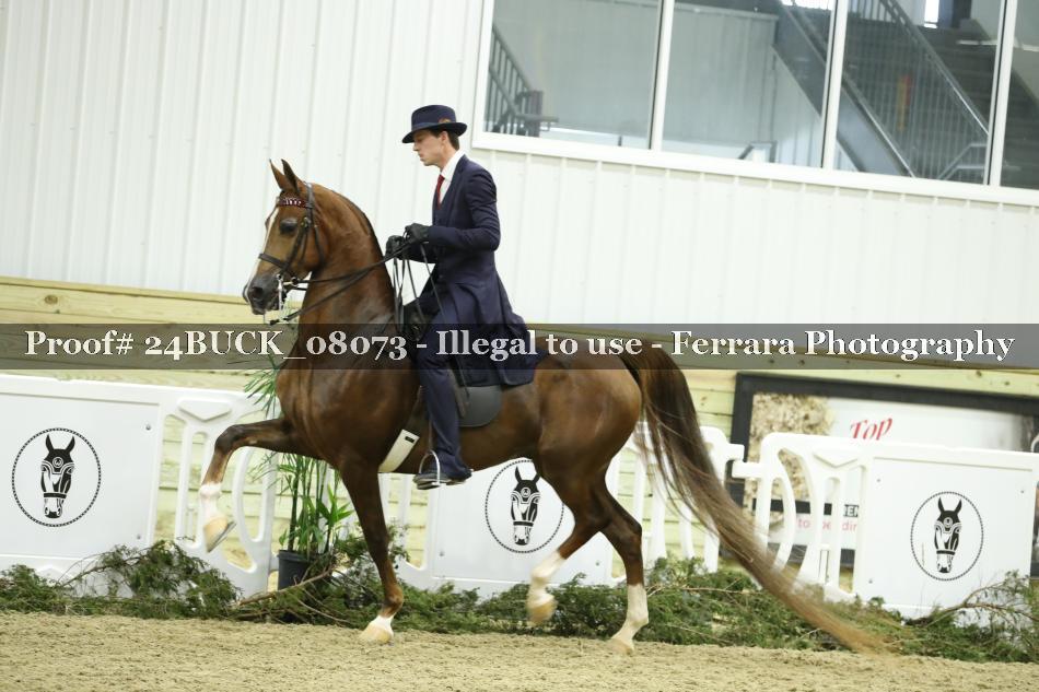 Proof 24BUCK_08073