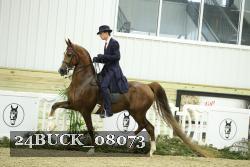 24BUCK_08073 proof