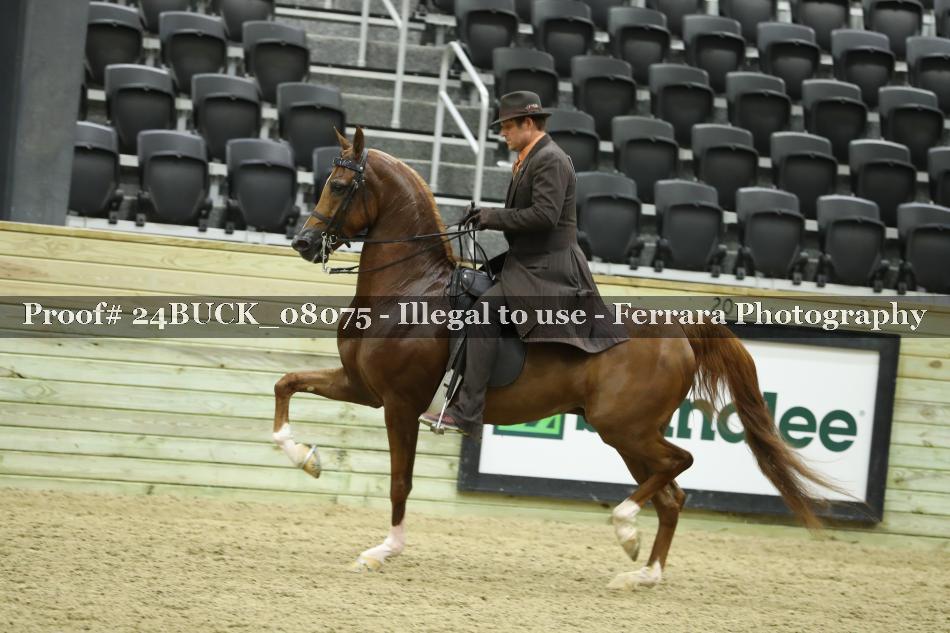Proof 24BUCK_08075