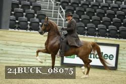 24BUCK_08075 proof