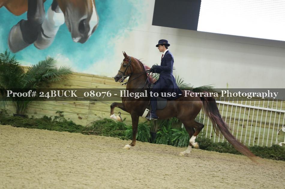 Proof 24BUCK_08076