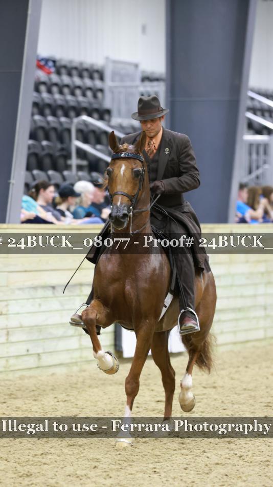 Proof 24BUCK_08077