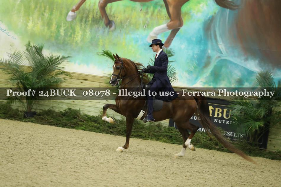 Proof 24BUCK_08078