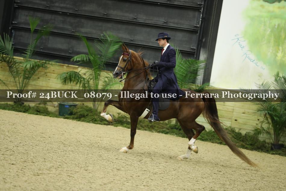 Proof 24BUCK_08079