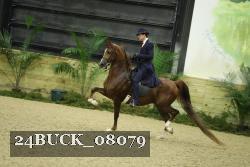 24BUCK_08079 proof