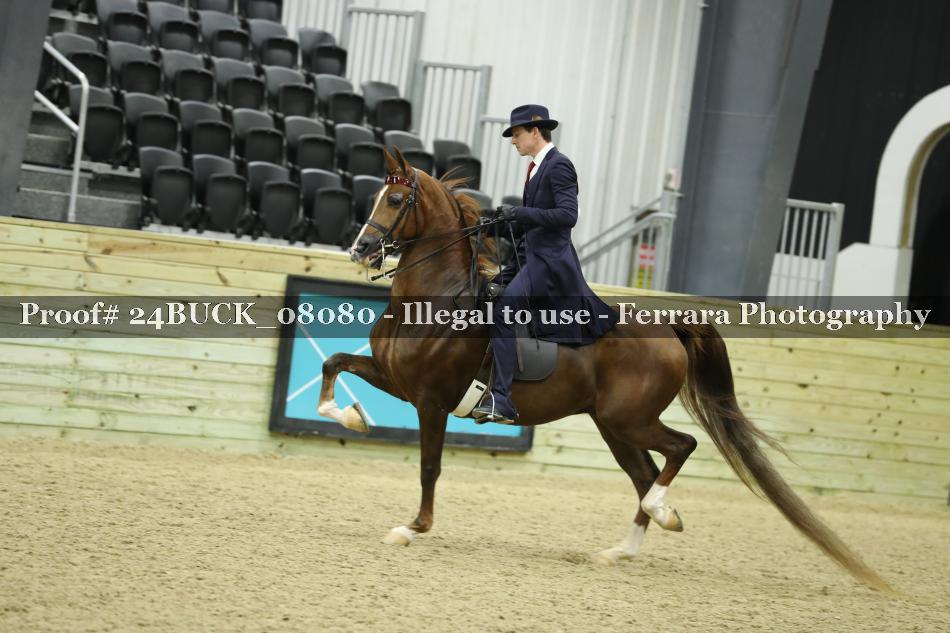 Proof 24BUCK_08080