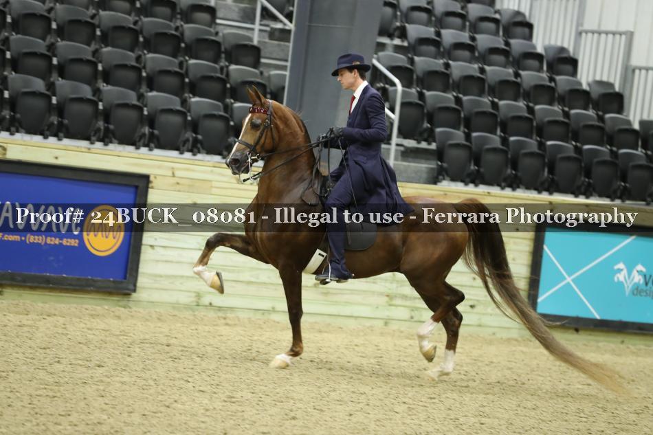 Proof 24BUCK_08081